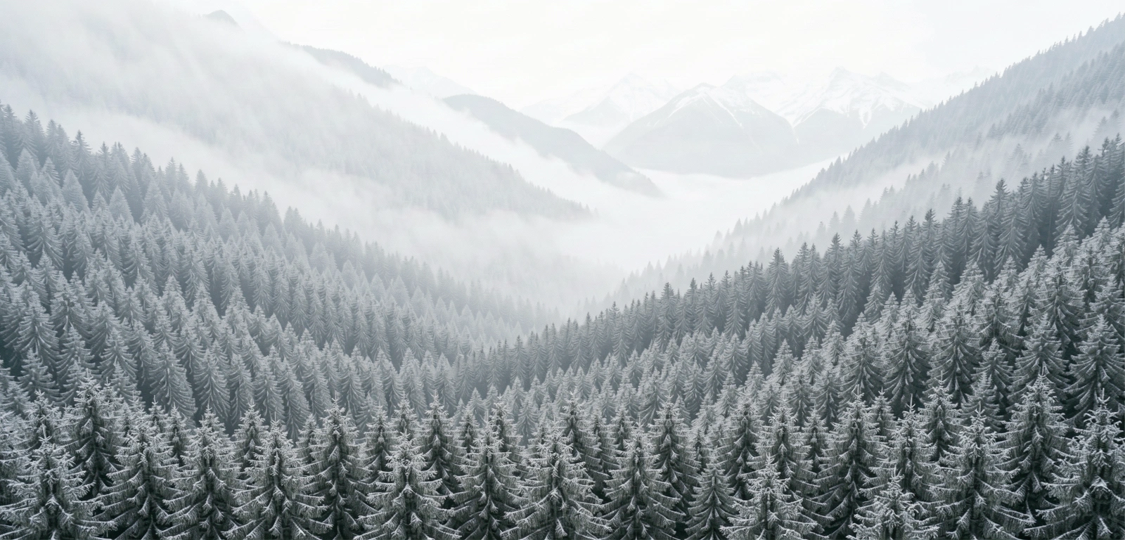 Source inspiration of botanical vitality